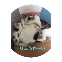 [LINEスタンプ] あやめとよつは