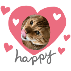 [LINEスタンプ] ベンガルのMくん