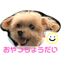 [LINEスタンプ] 伊藤家の愛犬ぺこちゃんスタンプの画像（メイン）