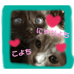 [LINEスタンプ] チョコ兄妹byオハナビーズ
