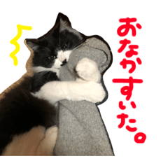 [LINEスタンプ] うちのちびちゃん:)