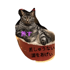 [LINEスタンプ] モカの仲間たち