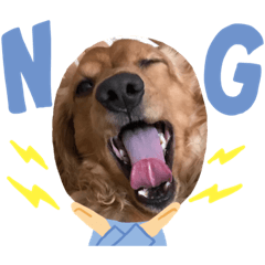 [LINEスタンプ] kinako0313