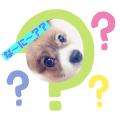 [LINEスタンプ] 愛犬 わんちゃんスタンプ