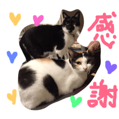 [LINEスタンプ] 夏目と仙豆