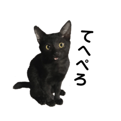 [LINEスタンプ] ジジさーん