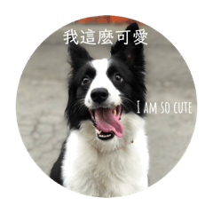 [LINEスタンプ] 我が家の動物園
