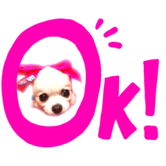 [LINEスタンプ] チョコちゃん0405