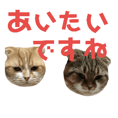 [LINEスタンプ] ひこ＆くにゃ