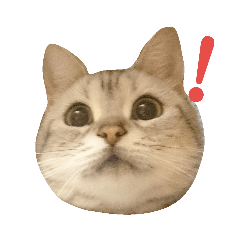 [LINEスタンプ] ディオちゃんといっしょ