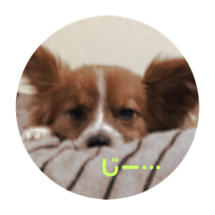 [LINEスタンプ] のん太②