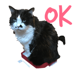 [LINEスタンプ] うちのワンニャンズ