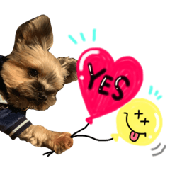 [LINEスタンプ] もずくくん 2