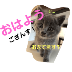 [LINEスタンプ] ピーとプー