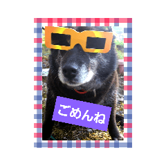[LINEスタンプ] にゃぷらす1