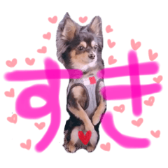 [LINEスタンプ] ティーやん 