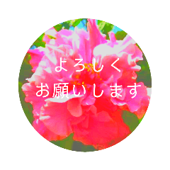 [LINEスタンプ] EUROPE flower3♡[日本語敬語]