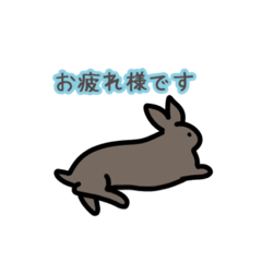 [LINEスタンプ] おしゃべりどうぶつ。日常あいさつ編