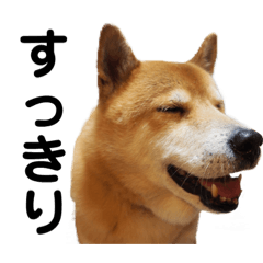 [LINEスタンプ] わし、太郎2