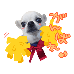[LINEスタンプ] スムチのピーチ