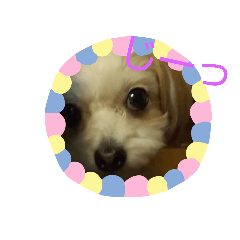 [LINEスタンプ] you and moco love