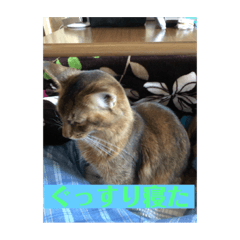 [LINEスタンプ] 毎日楽しいそらくん5