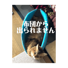 [LINEスタンプ] 毎日楽しいそらくん6