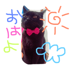 [LINEスタンプ] ひなたとエリザベス