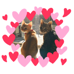 [LINEスタンプ] まろんとミケルソン