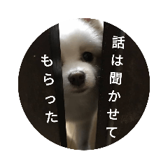 [LINEスタンプ] ポメ吉(天才犬)リメイク