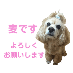[LINEスタンプ] むぎむぎ♡スタンプ