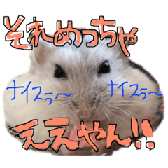 [LINEスタンプ] かわかわふくちゃんスタンプ