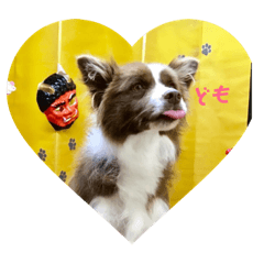 [LINEスタンプ] わんちゃんねこちゃん