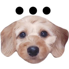 [LINEスタンプ] ミックスpmc
