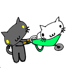 [LINEスタンプ] ネコ猫キャット