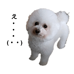 [LINEスタンプ] かわいいことちゃん 