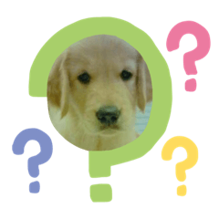 [LINEスタンプ] サムくんの毎日 