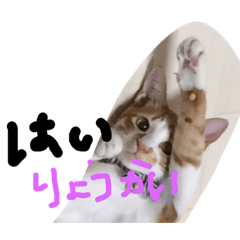 [LINEスタンプ] やじろうくんPart1