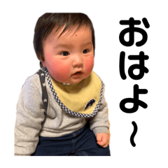 [LINEスタンプ] ぜんくんのスタンプ