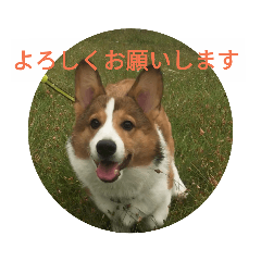 [LINEスタンプ] ピースandシオン