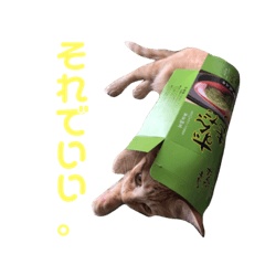 [LINEスタンプ] 茶トラのおこげ