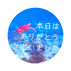 [LINEスタンプ] sea world3♡[日本語敬語]の画像（メイン）