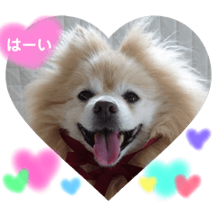 [LINEスタンプ] ショウ♡ナッチ