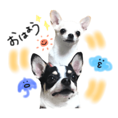[LINEスタンプ] 京＆ルナスタンプ vol.2