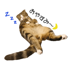 [LINEスタンプ] つくねスタンプだよPart1