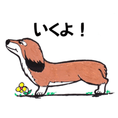 [LINEスタンプ] ダックスフンド デザイン