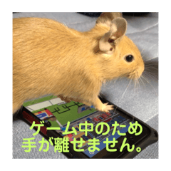 [LINEスタンプ] デグーの「ちくわ」2