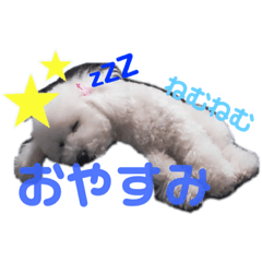 [LINEスタンプ] Latte Original 1 
