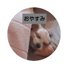 [LINEスタンプ] ゆうくんともこちゃん