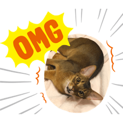 [LINEスタンプ] ノアスタンプ1 